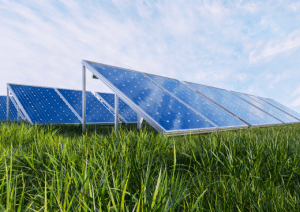 Pose panneaux photovoltaïques au sol
